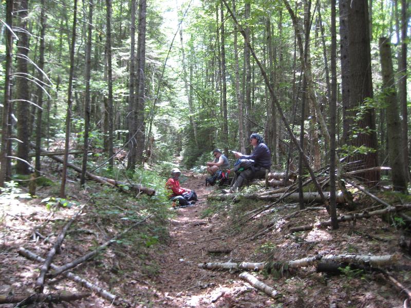 CedarBrook-d (3).JPG - Lunch break on the trail. Had we known about that .1 miles down the trail there was a beautiful spot next to the stream we would have stopped there instead.